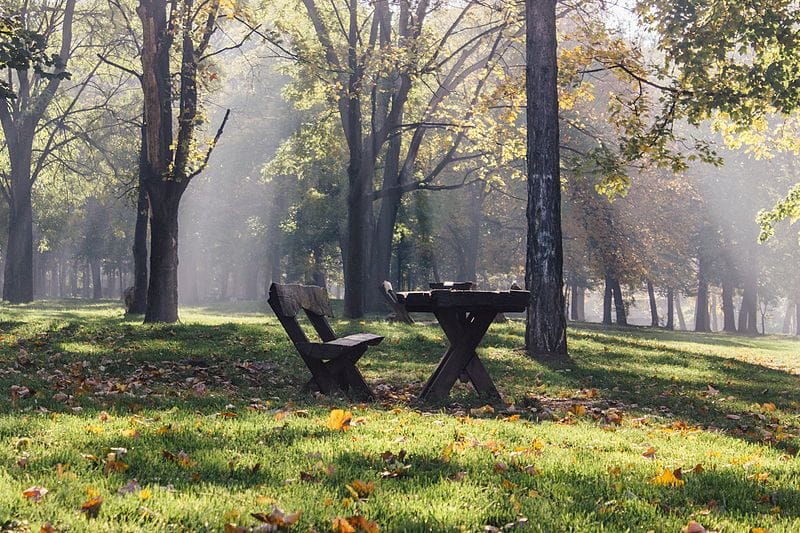 селидбе звездара