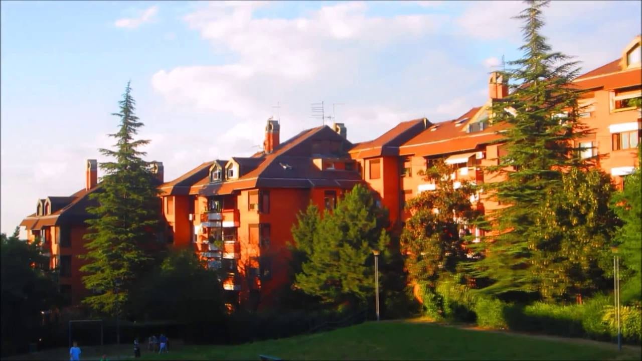 selidbe višnjička banja